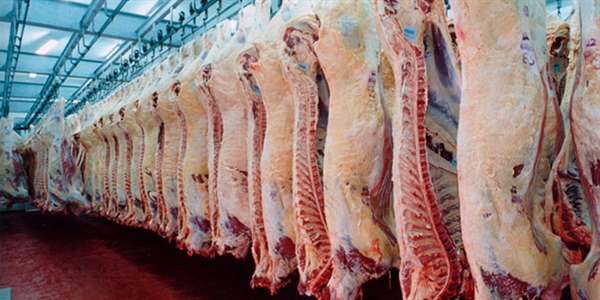 carnebovina_frigorifico.jpg