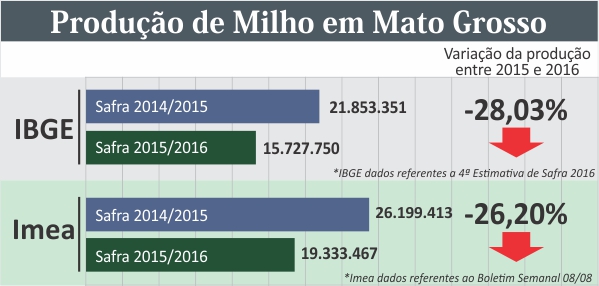 quadro quebra safra de milho MT