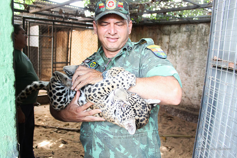 capa Batalh&atilde;o Ambiental