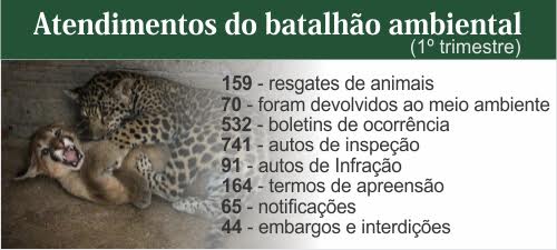quadro batalhão ambiental