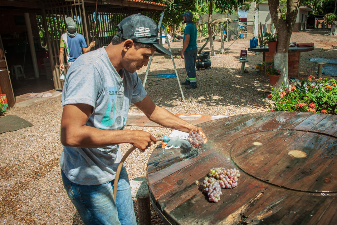 consumo de suco de uva dos parreirais de Primavera do leste