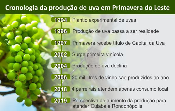 gr&iuml;&iquest;&frac12;fico cronologia da produ&iuml;&iquest;&frac12;&iuml;&iquest;&frac12;o de uva em Primavera