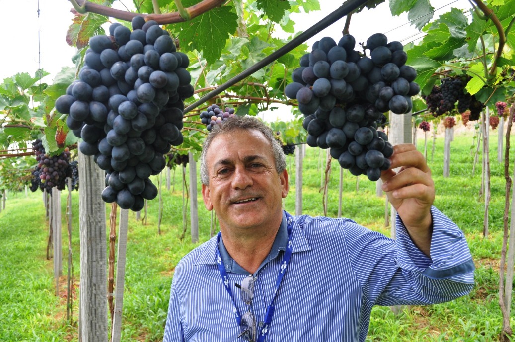 Jo&iuml;&iquest;&frac12;o Dimas Garcia Maia