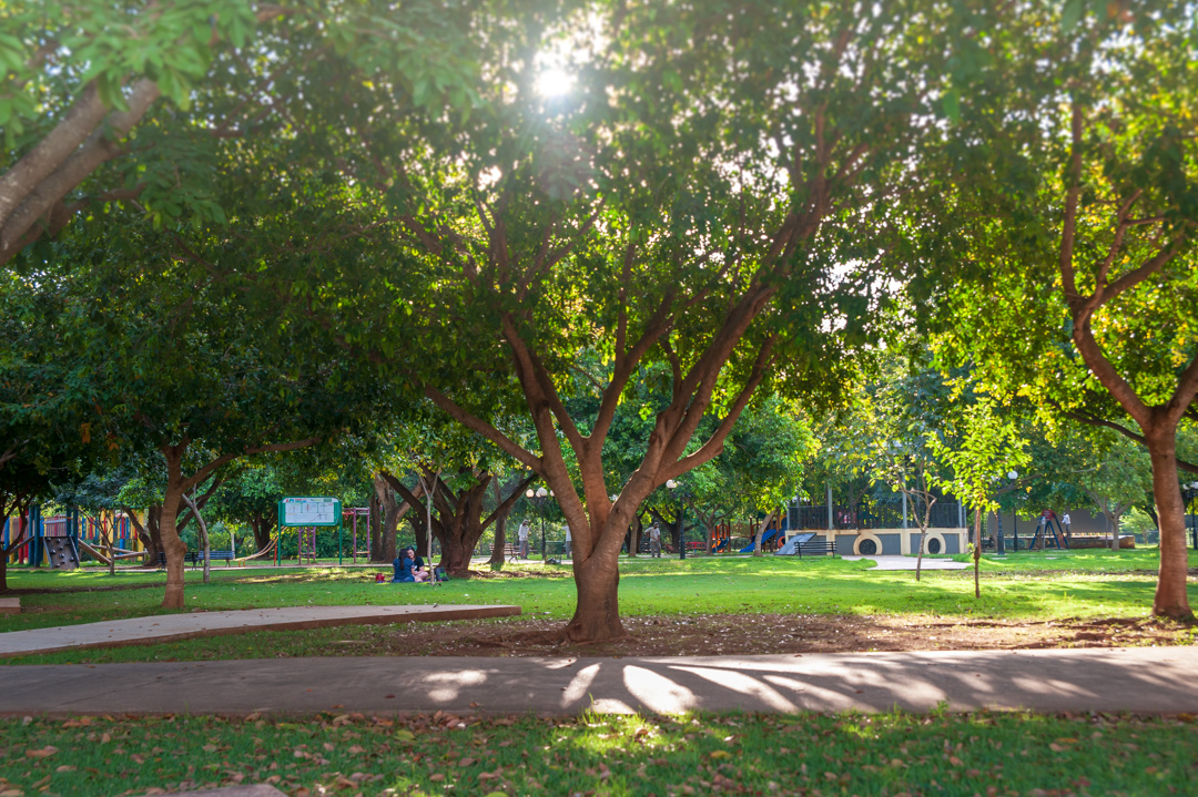 Parque M&iuml;&iquest;&frac12;e Bonif&iuml;&iquest;&frac12;cia