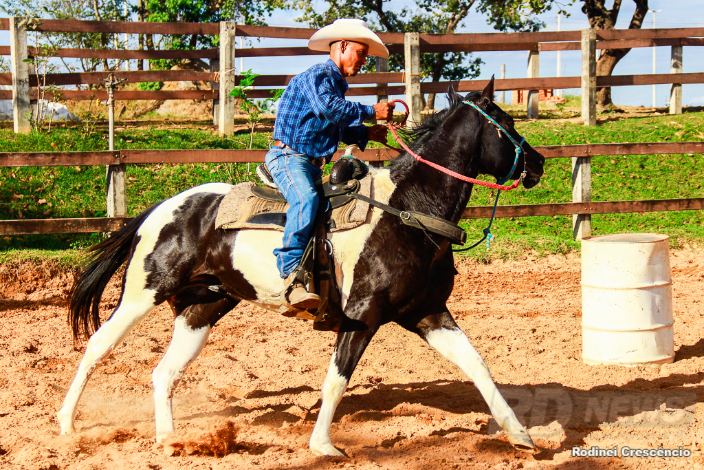  Haras twin brothers