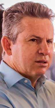 mauro mendes curtinha