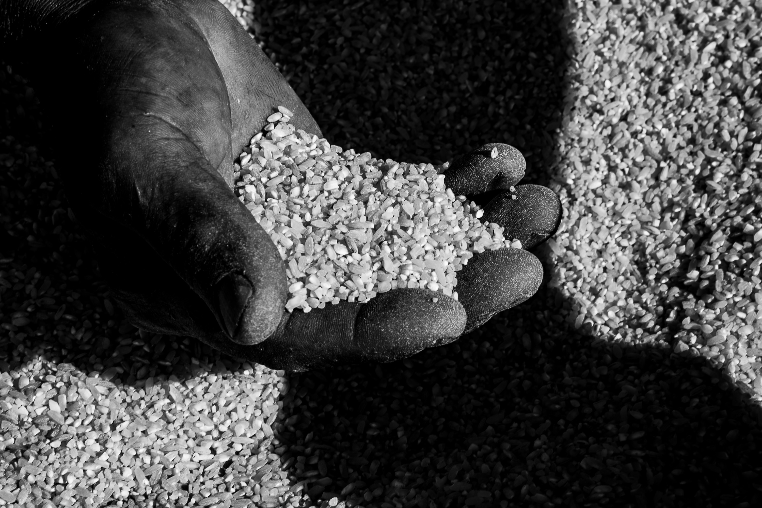 Durante a festa s&atilde;o preparados cerca de 100kg de arroz
