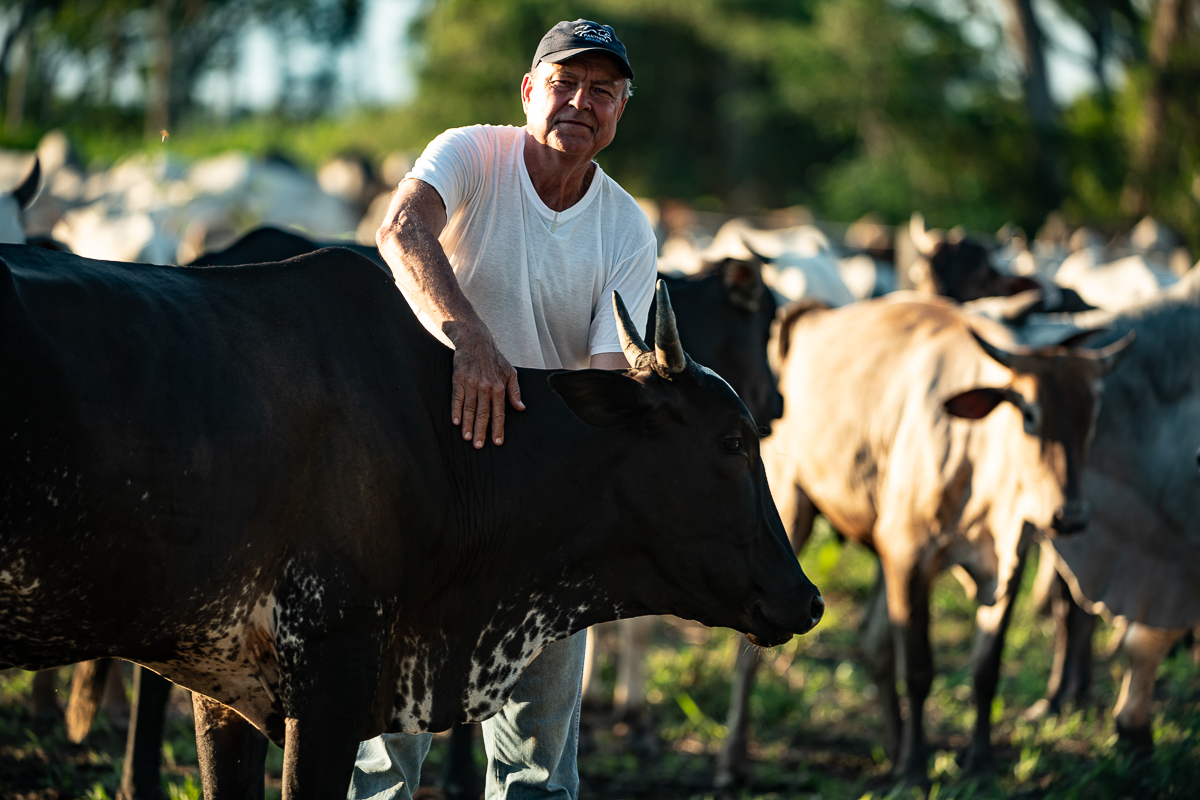 Especialista ajuda desenvolver sistemas de prote&ccedil;&atilde;o animal no Estado, tanto gado, quanto on&ccedil;as
