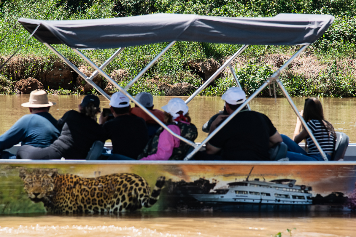Na regi&atilde;o o ecoturismo &eacute; feito s&oacute; de barco porque &aacute;rea &eacute; mais banhada por rio