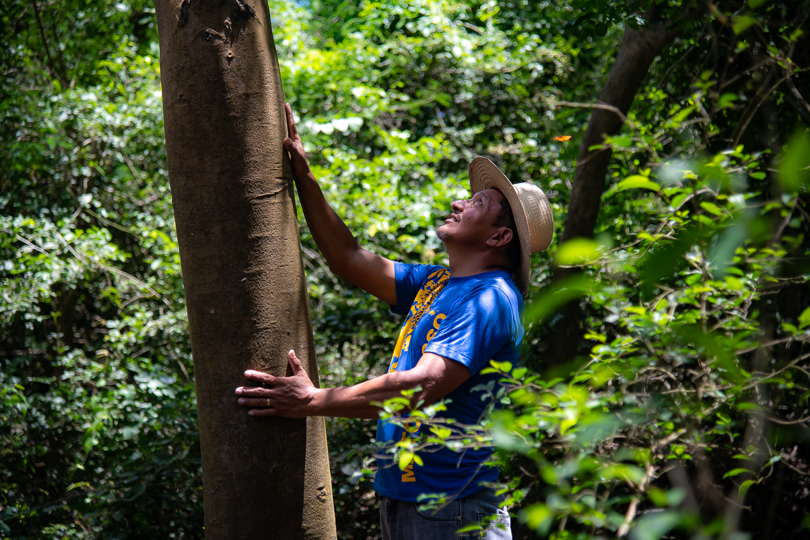 Madeiras que ele produz viola de cocho s&atilde;o quase todas doadas, entre elas, a sar&atilde;