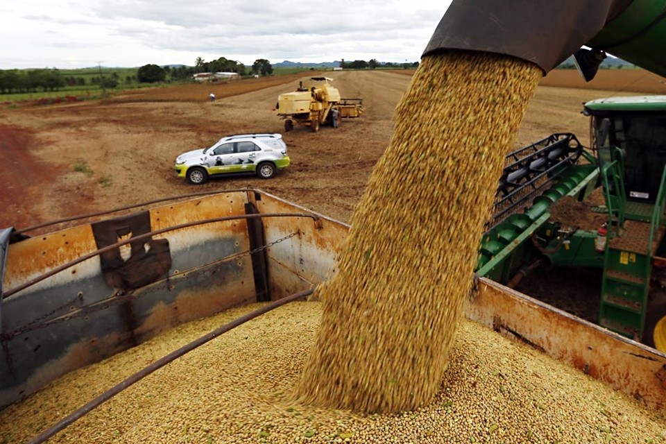 Colheita da soja em Mato Grosso
