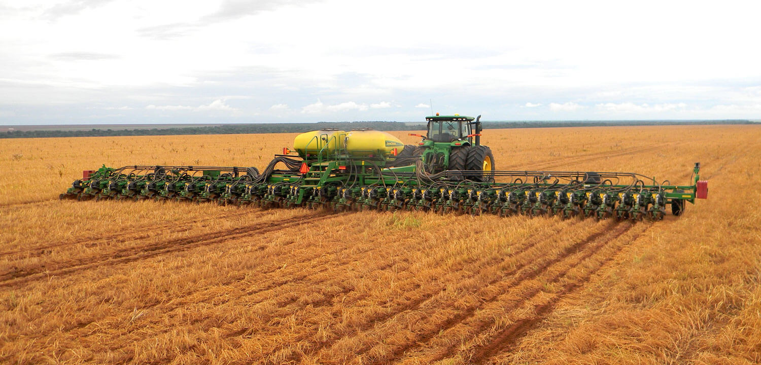 Plantação de soja em fazenda da Terra Santa Agropecuária