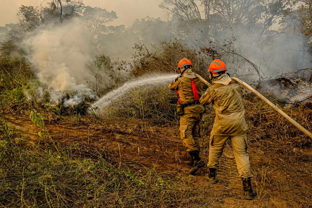 Inc�ndio no Pantanal