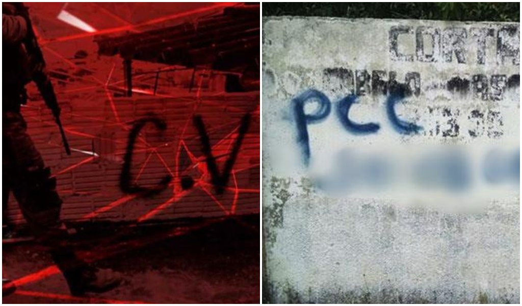 cv e pcc