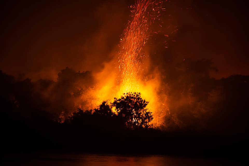 Pantanal