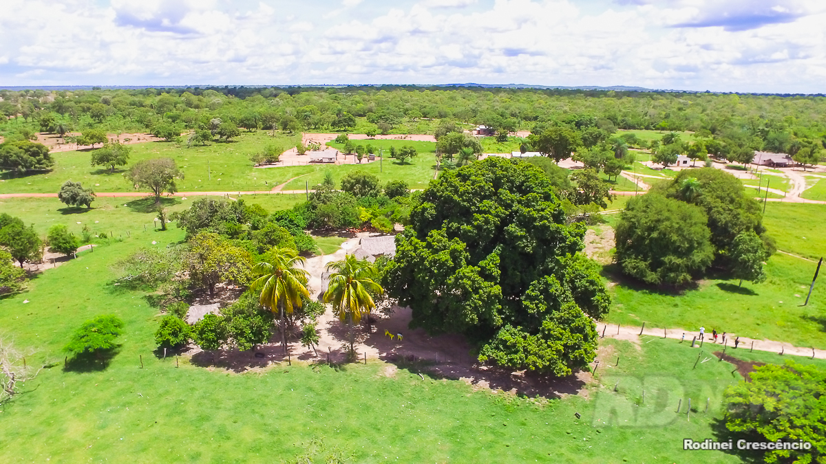 Especial Chiquitanos - Local da Morte na fronteira de Mato Grosso com a Bol&iacute;via