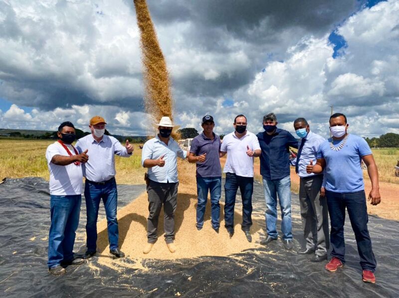 Gilberto Cattani e Jose Medeiros na planta&ccedil;&atilde;o de arroz dos Bakairi