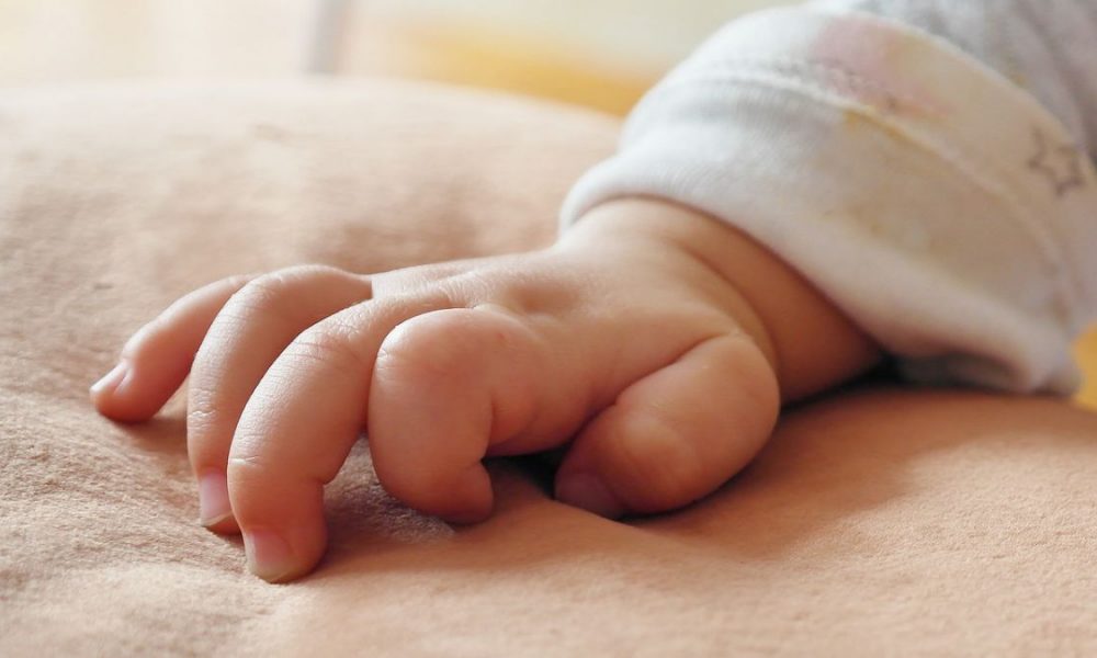 bebe crian�a