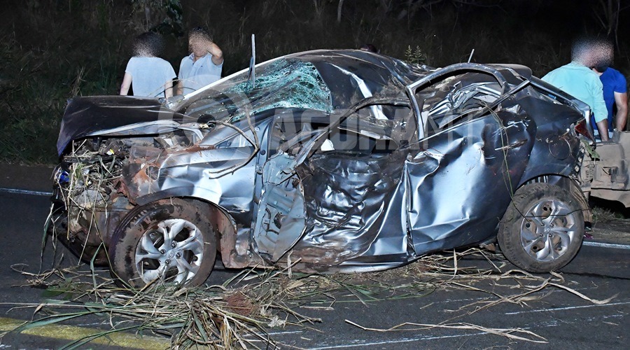 acidente anta atropelada mortes pedra preta