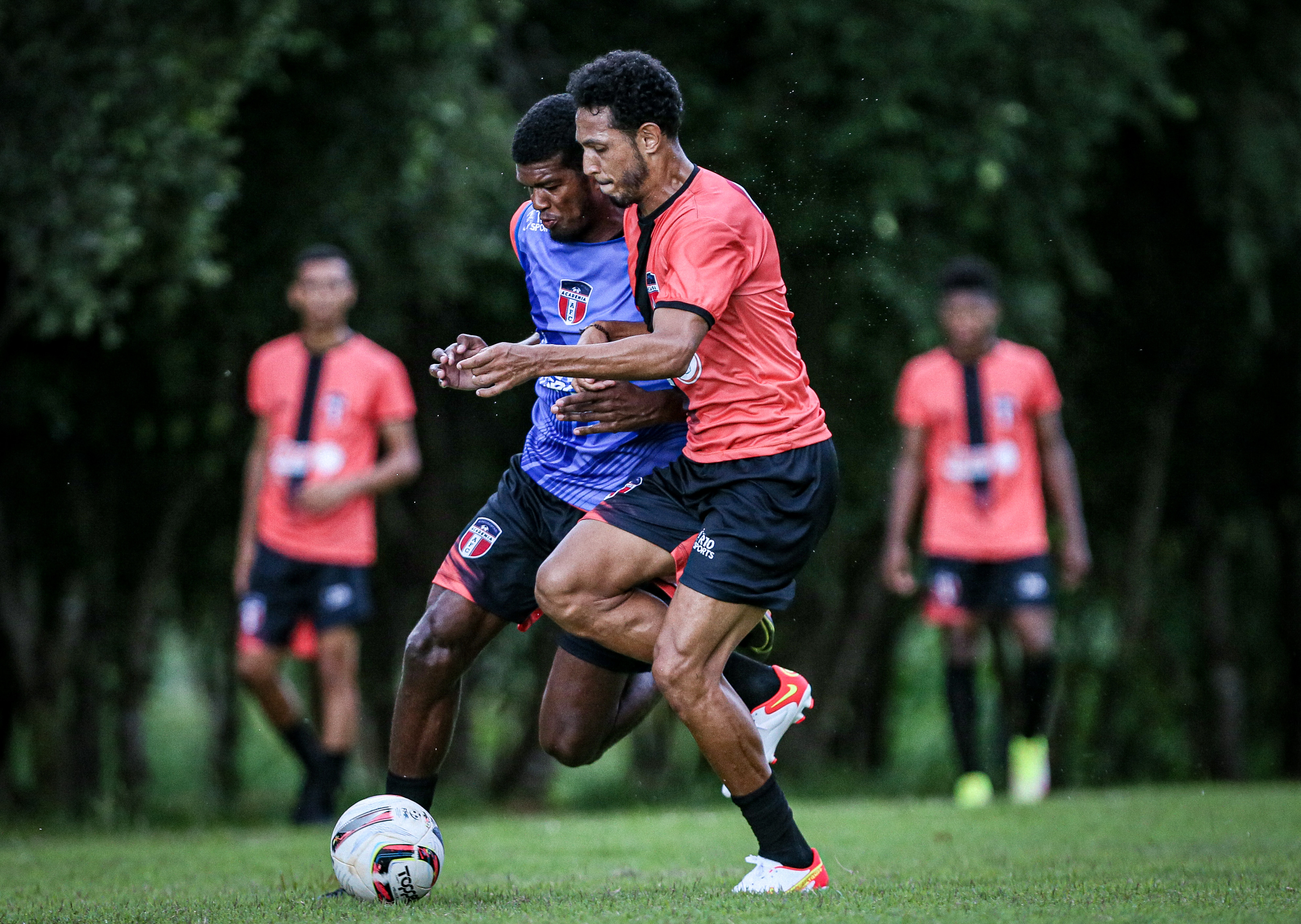 Treino Academia