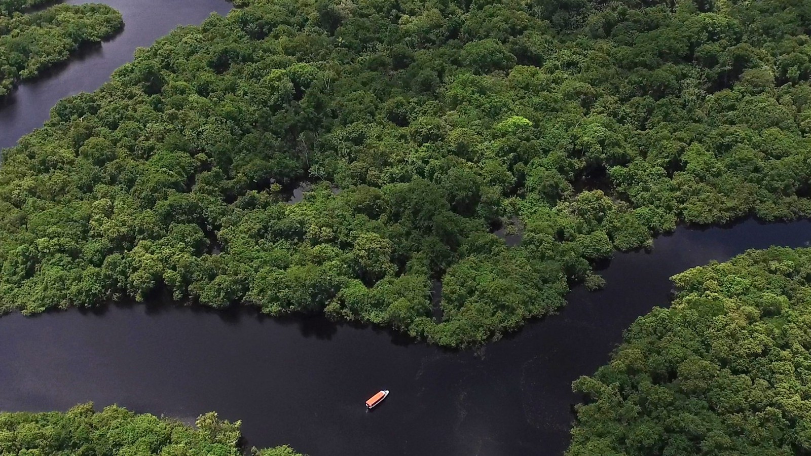 Floresta Amaz�nica -c�digo ambiental - Amaz�nia Legal