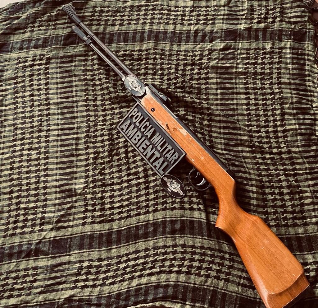 arma pocon� on�a-pintada