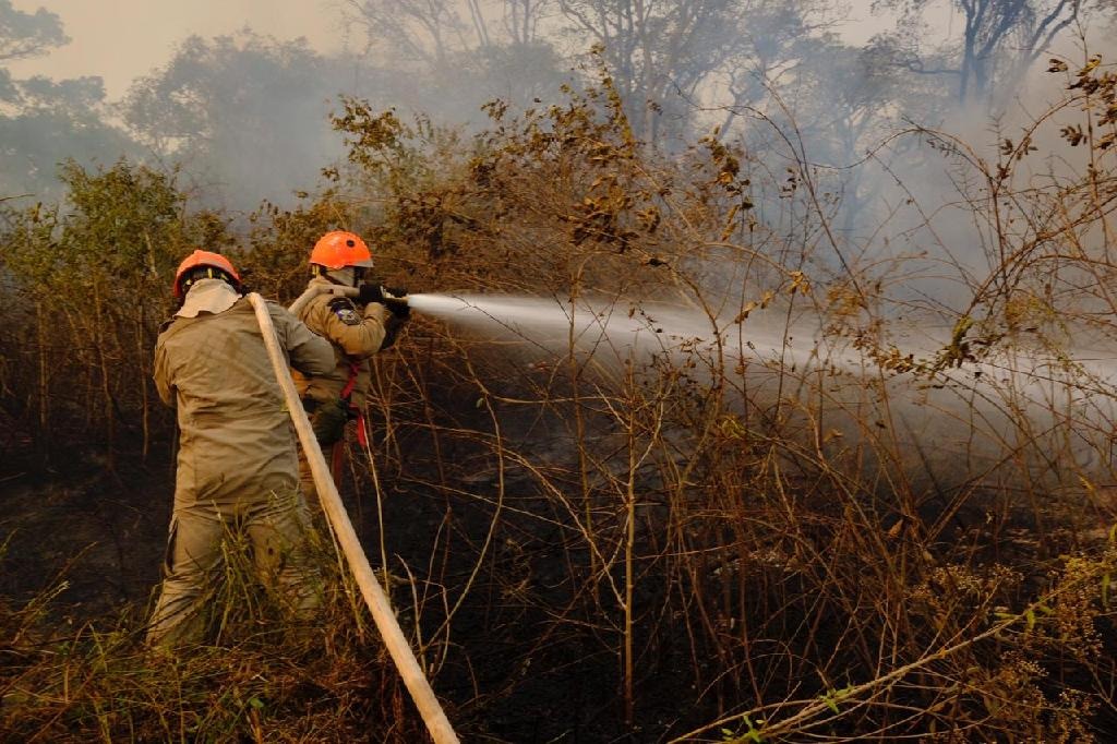Inc�ndio - florestal - pantanal - brigadistas