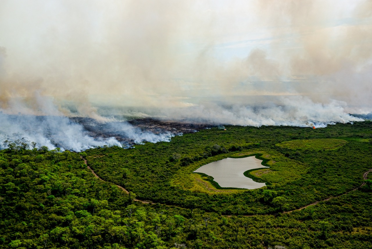 Pantanal - inc�ndio - fogo