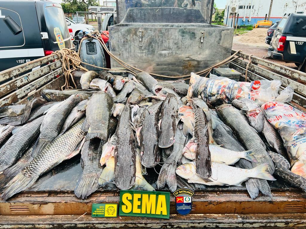 Peixes apreendidos pela fiscaliza��o ambiental
