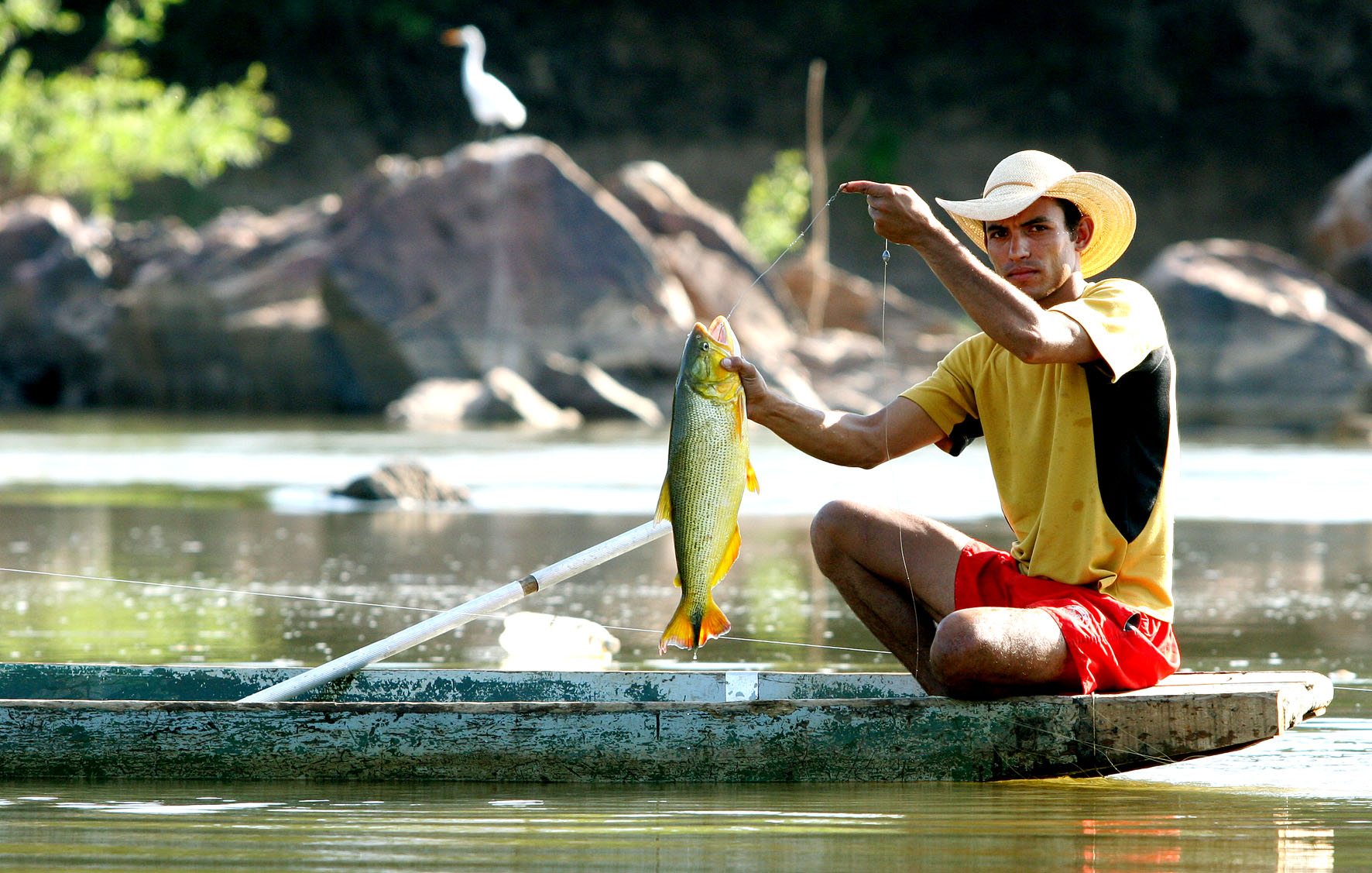 Carteira pesca