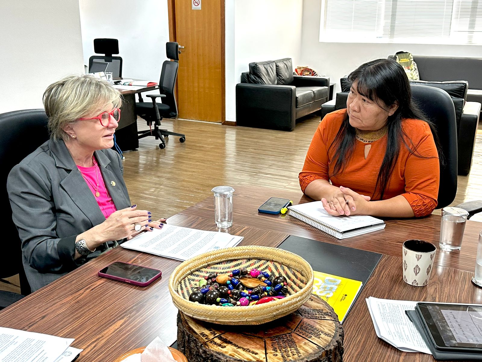  Senadora Margareth Buzetti Funai