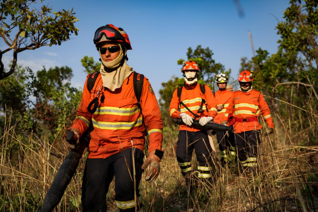 bombeiros queimadas 2023