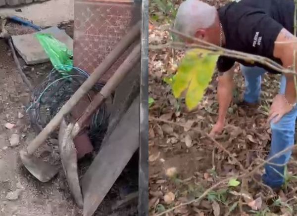 menina morta pelo tio Terra Nova do Norte