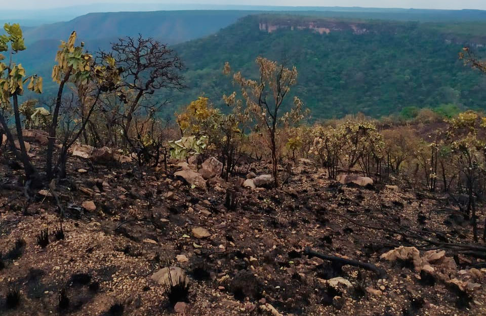 incendio chapada caverna jari