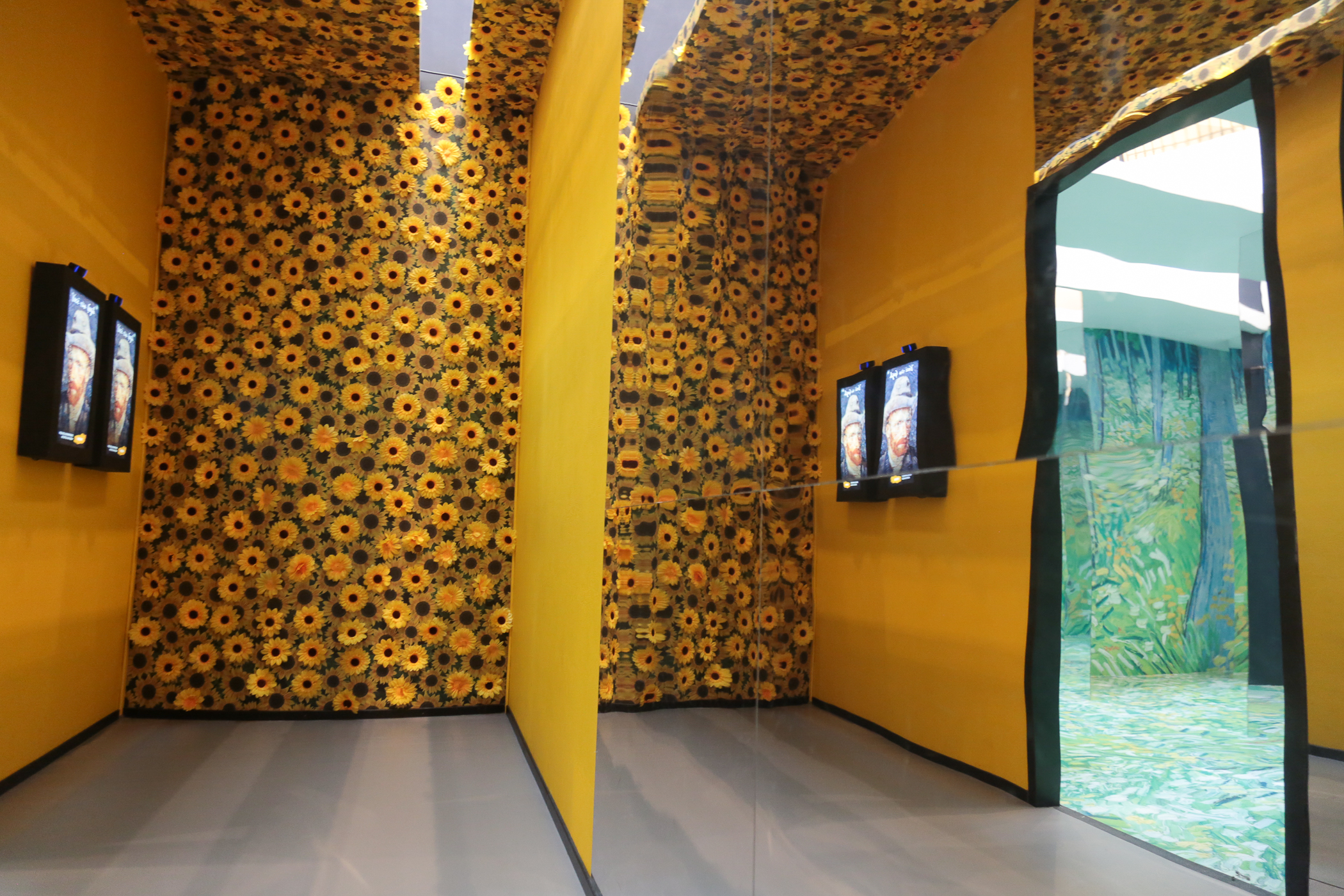 Experi�ncia imersiva Paisagens de Van Gogh chega pela primeira vez em Cuiab�