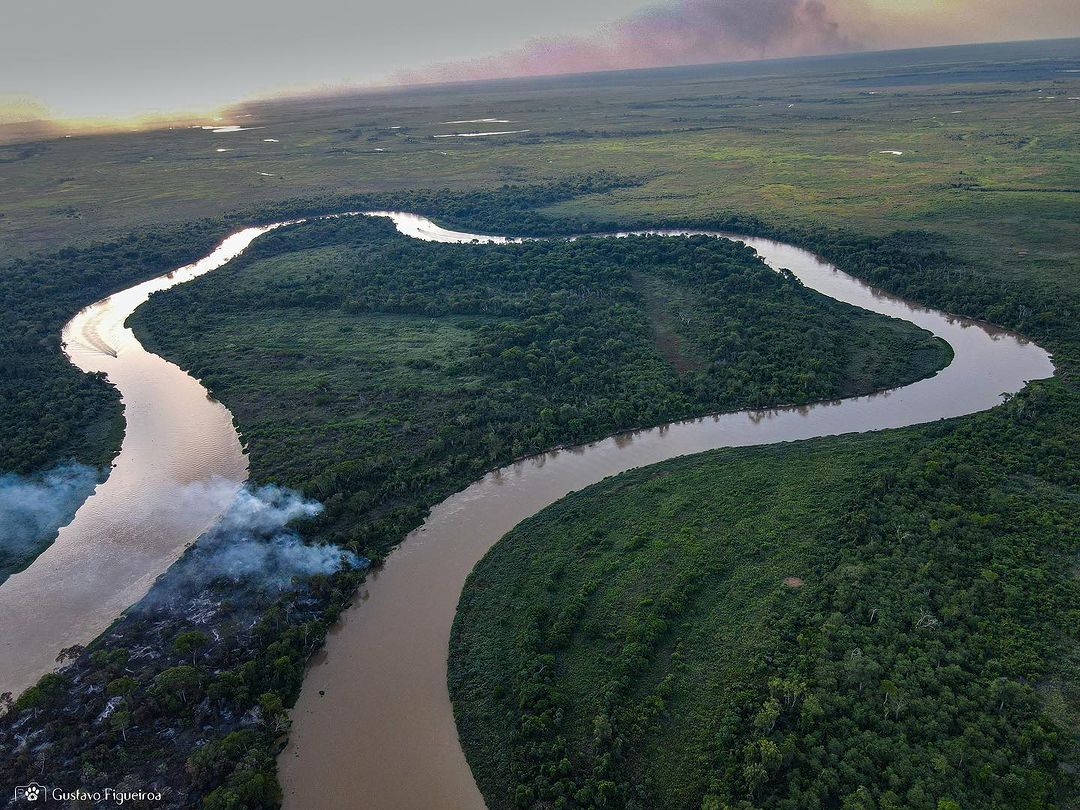 incendio pantanal 