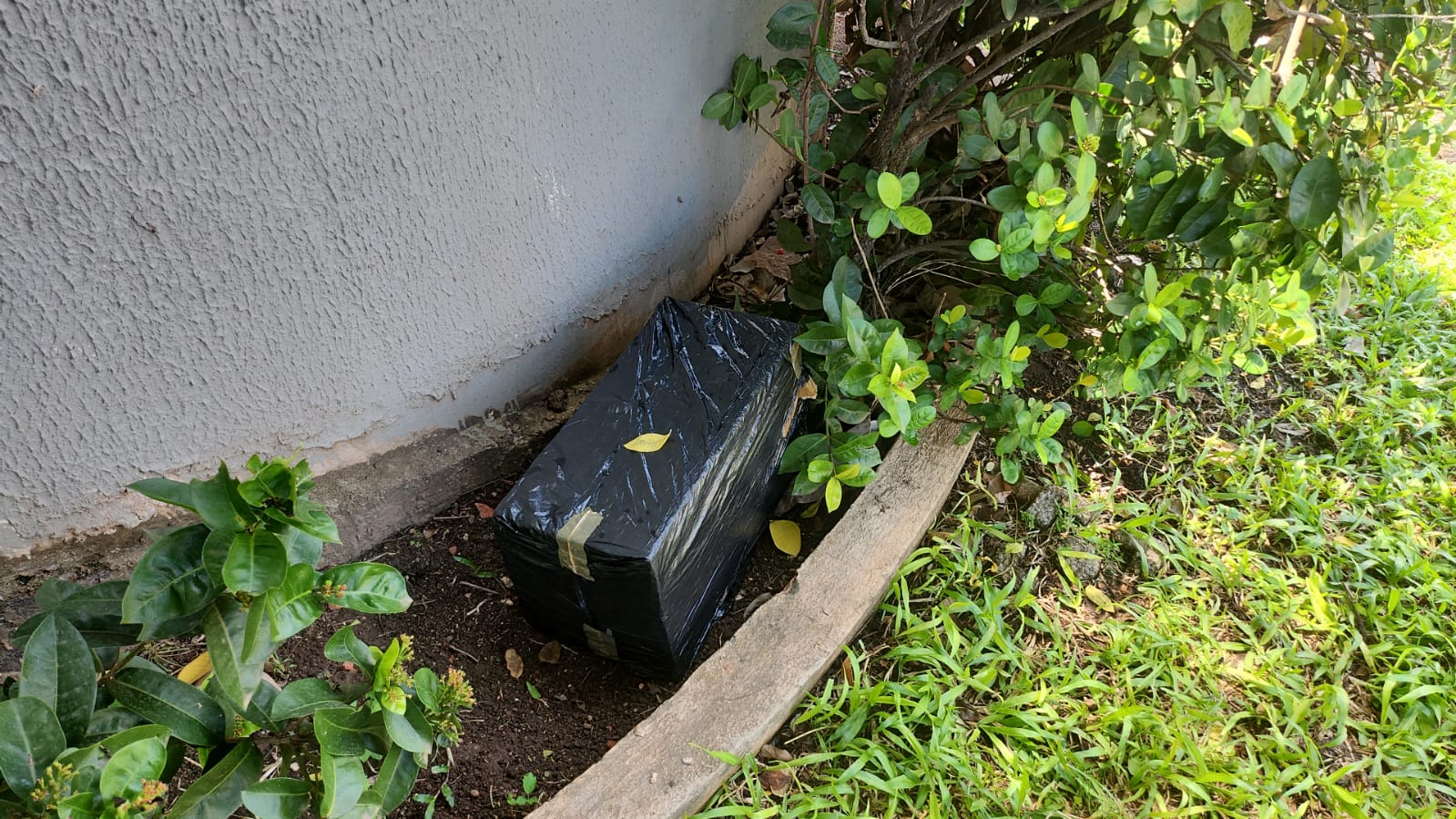caixa assassino advogado