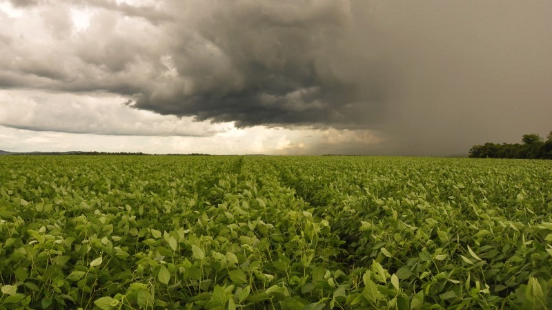 Chuva na lavoura de soja c�u escuro