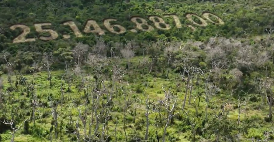 fazendeiro agrotoxico matar arvores barao de melgaço
