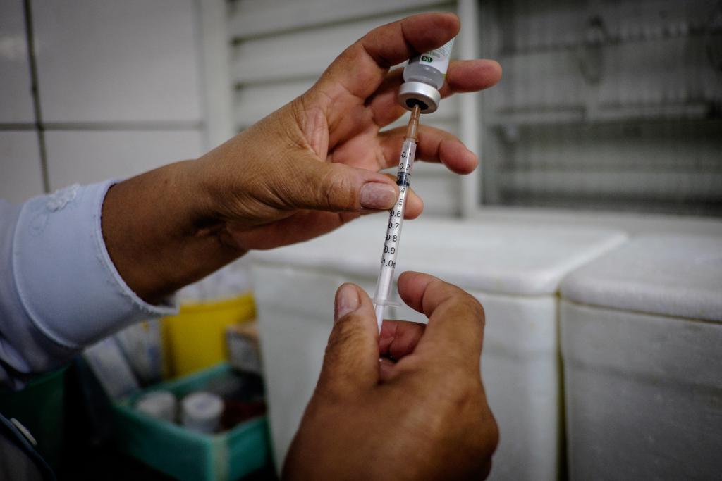 vaina dengue