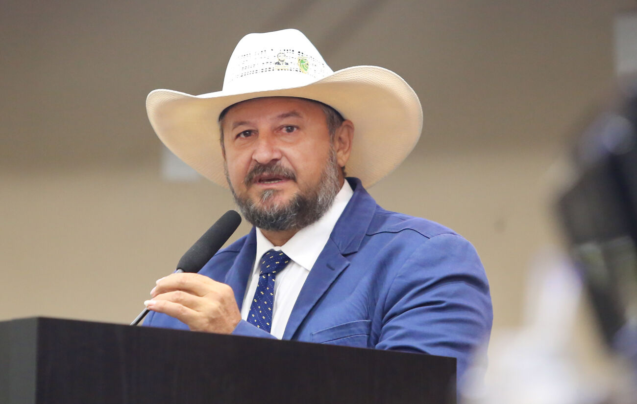 deputado gilberto cattani