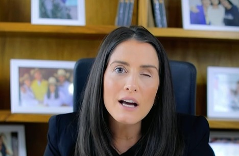 amalia barros deputada federal