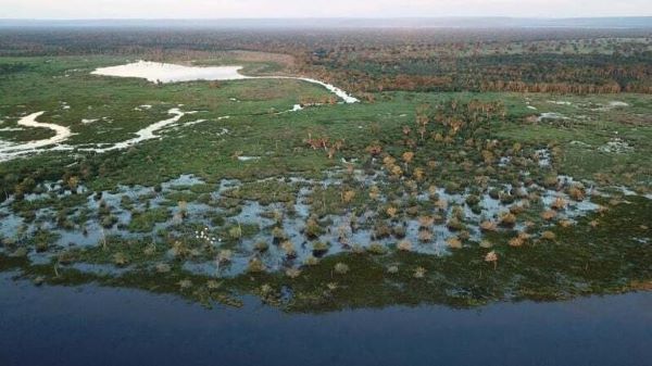 Pantanal Bacia do Rio Paraguai
