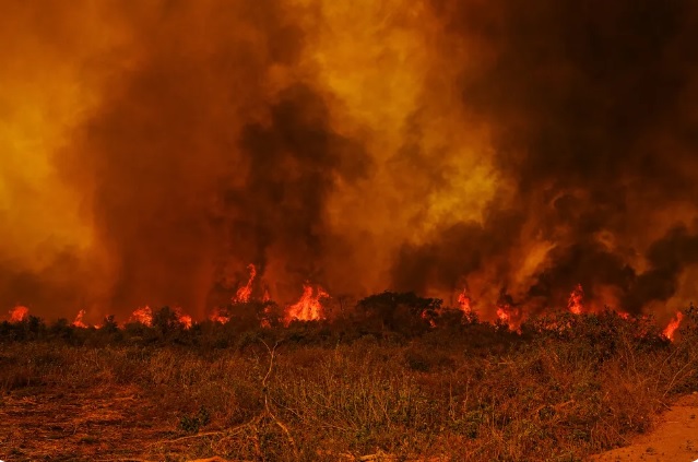 Queimada no Pantanal em 2020