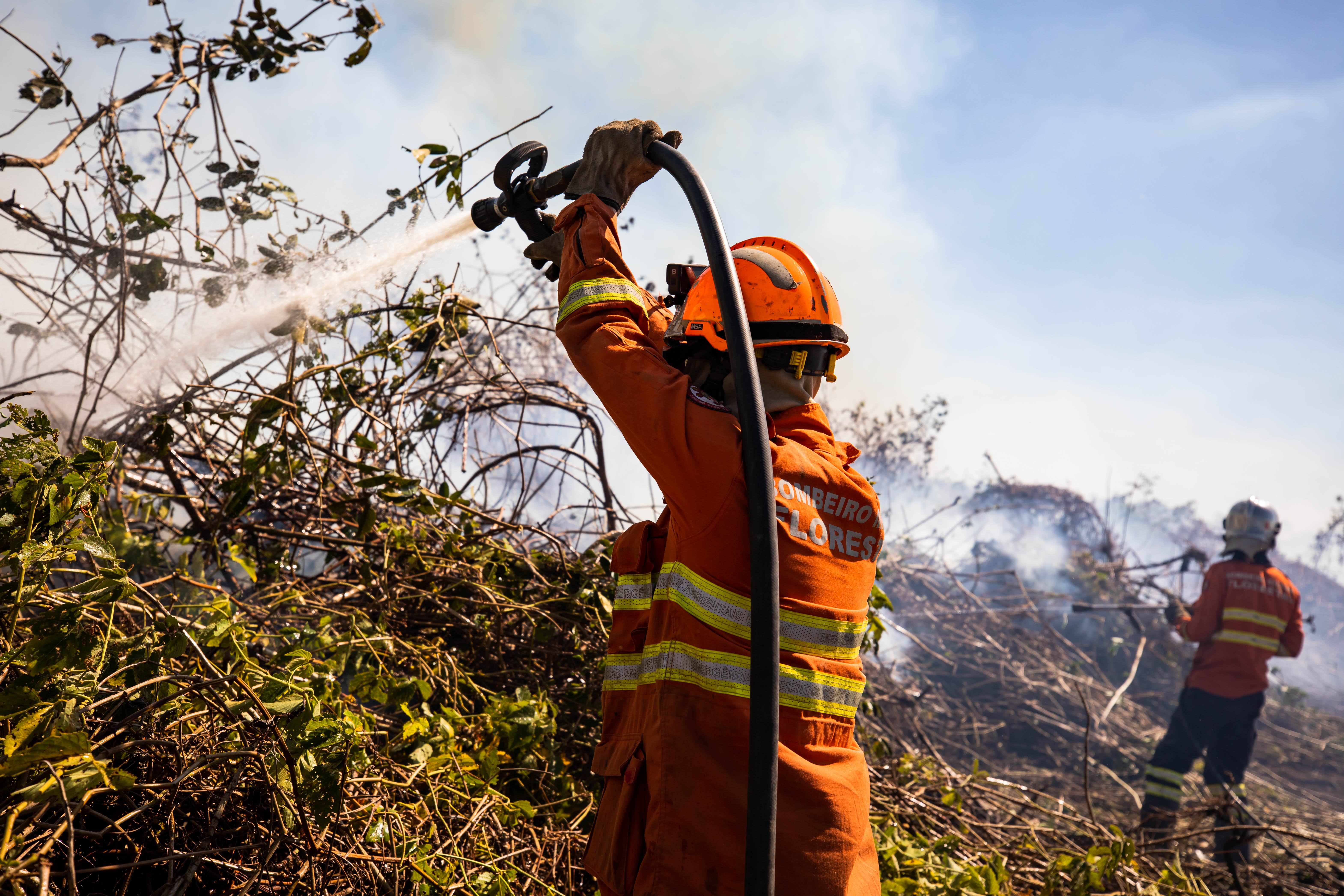 bombeiros inc&iuml;&iquest;&frac12;ndios florestais