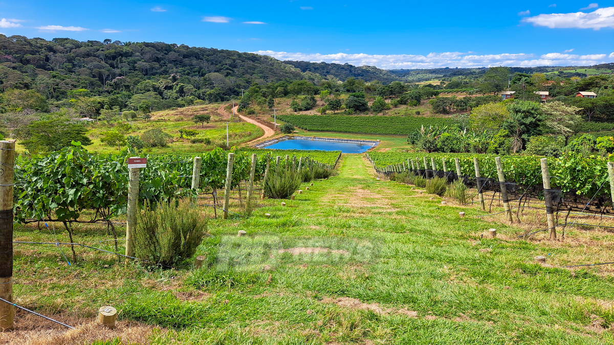 Vinhos Locanda