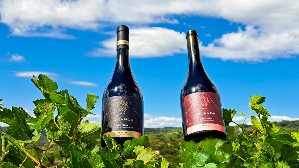 Vinhos Locanda