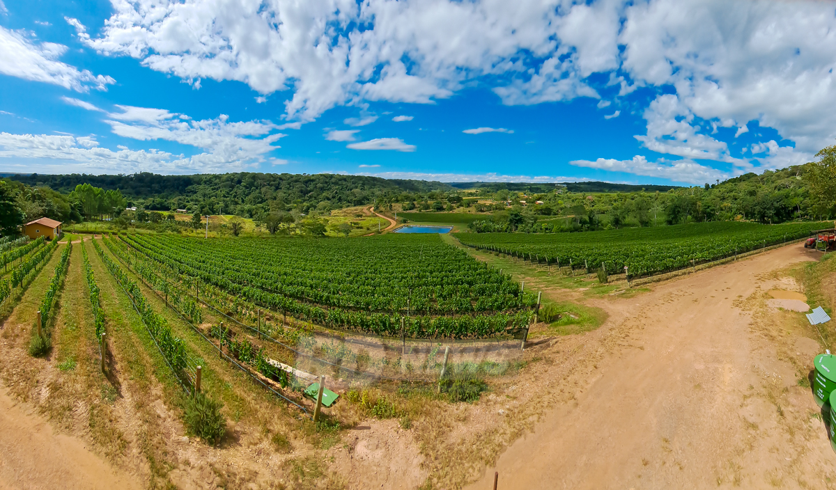 Vinhos Locanda