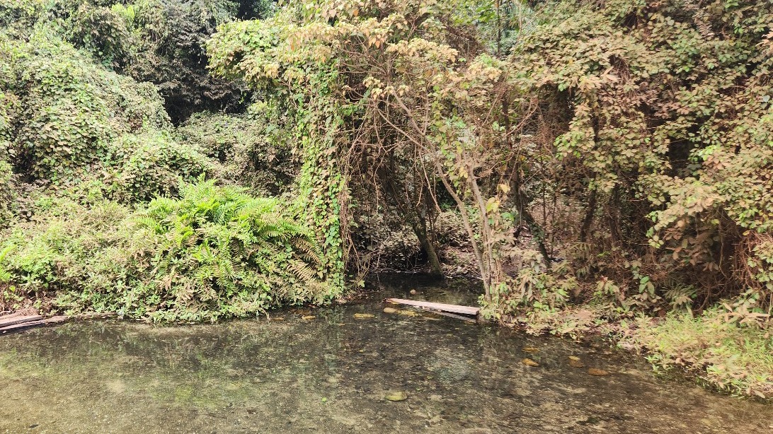 Local onde foi feita a coleta de &iuml;&iquest;&frac12;gua no Rio Estivado 