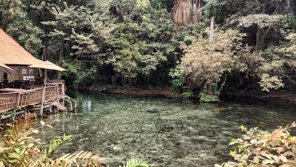  Balneario Estivado